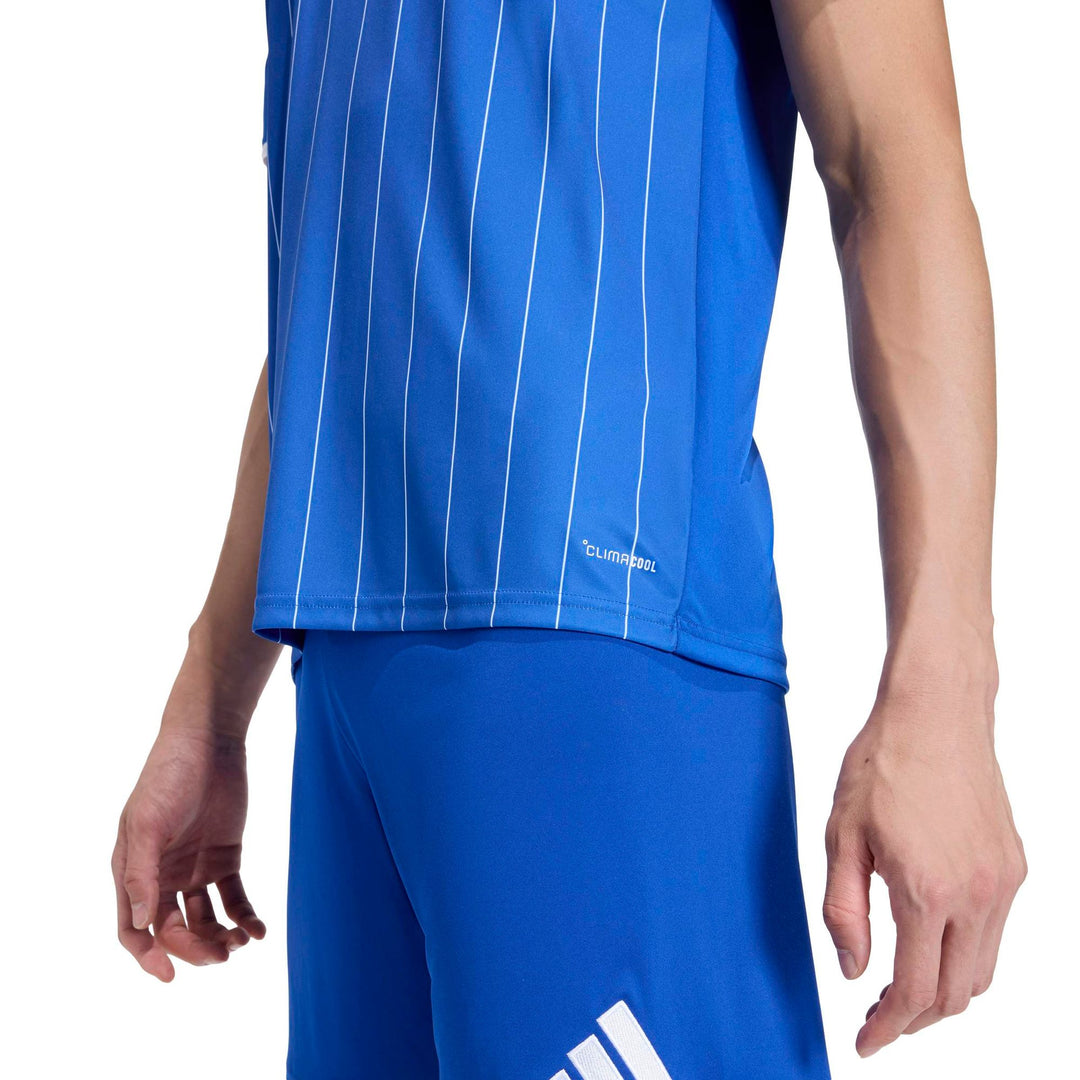 adidas Entrada 26 Gfx Jsy - royblu/white