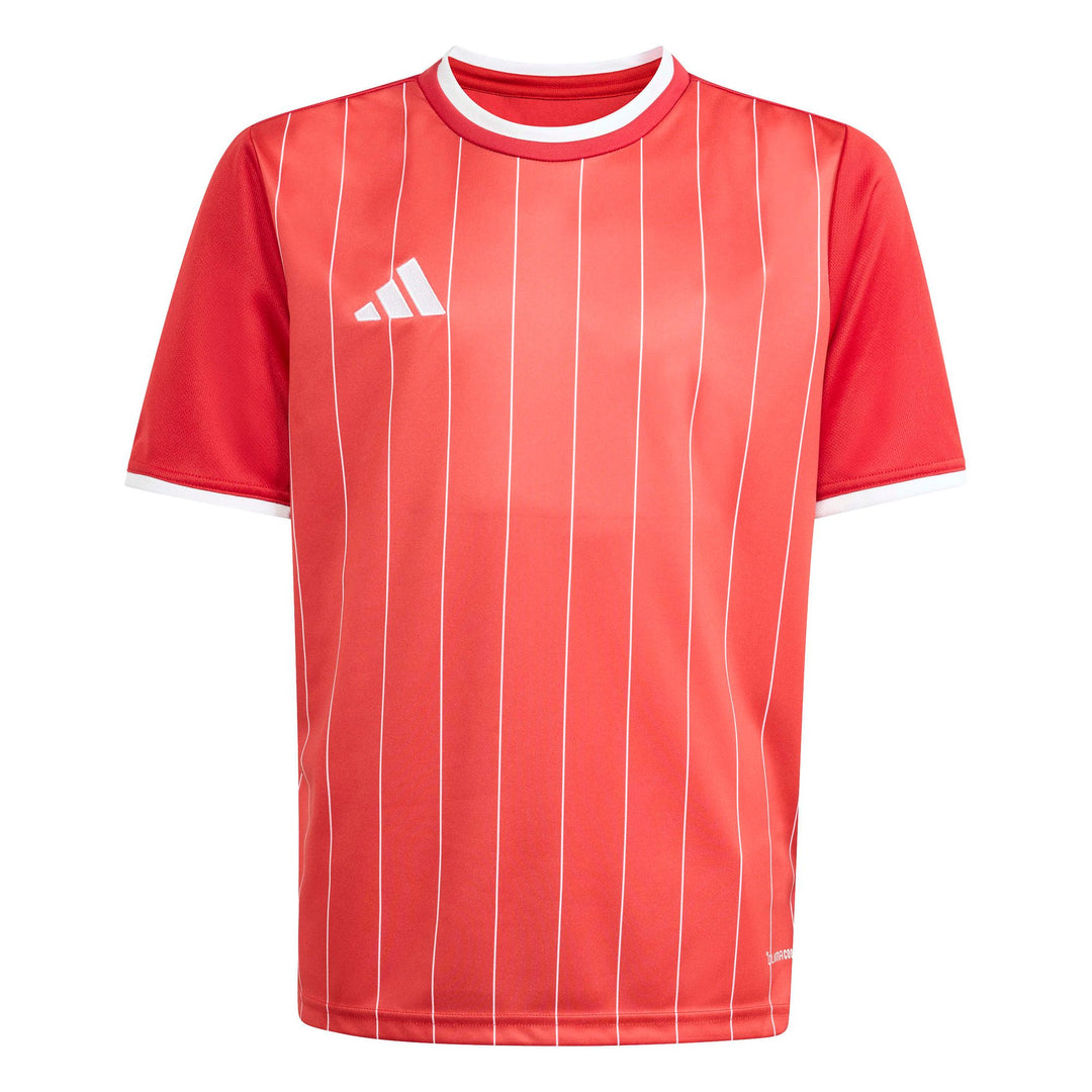 adidas Entrada 26 Gfx Jsy Y Kinder - tepore/white