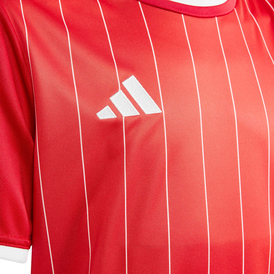 adidas Entrada 26 Gfx Jsy Y Kinder - tepore/white