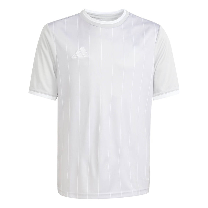 adidas Entrada 26 Gfx Jsy Y Kinder - tmlggr/white