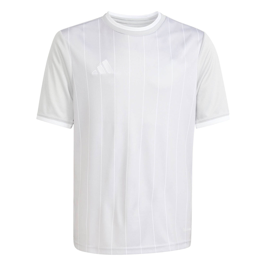 adidas Entrada 26 Gfx Jsy Y Kinder - tmlggr/white