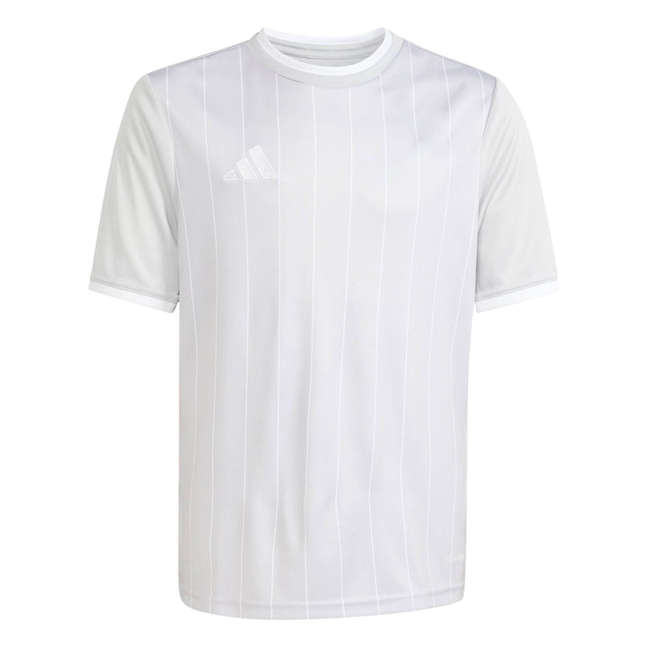 adidas Entrada 26 Gfx Jsy Y Kinder - tmlggr/white