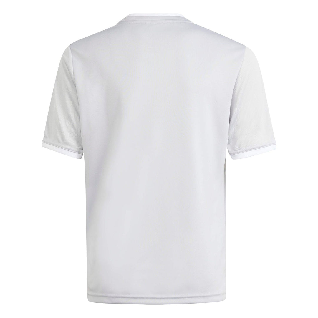 adidas Entrada 26 Gfx Jsy Y Kinder - tmlggr/white