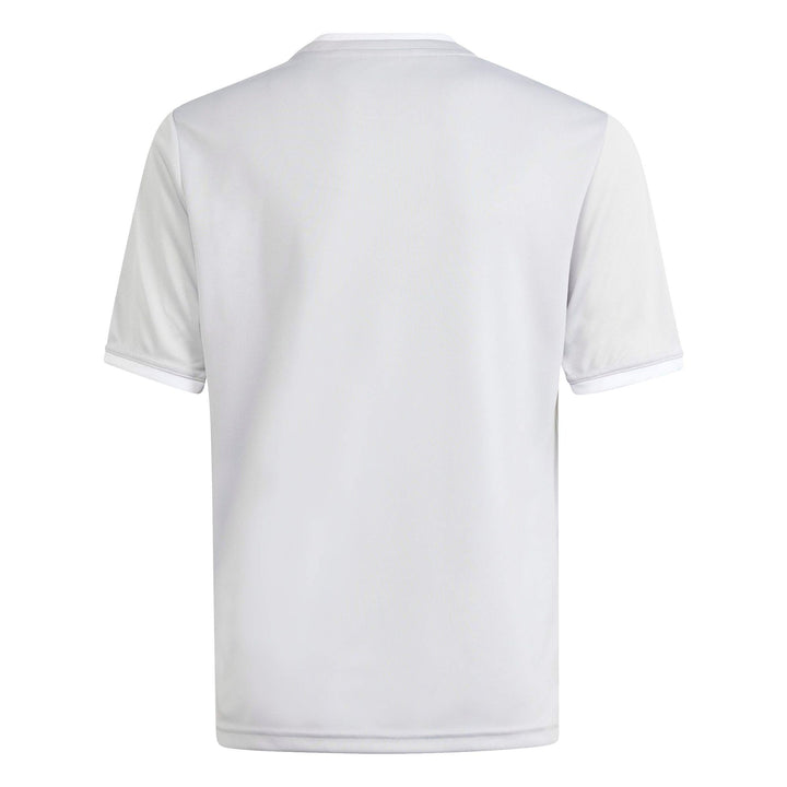 adidas Entrada 26 Gfx Jsy Y Kinder - tmlggr/white