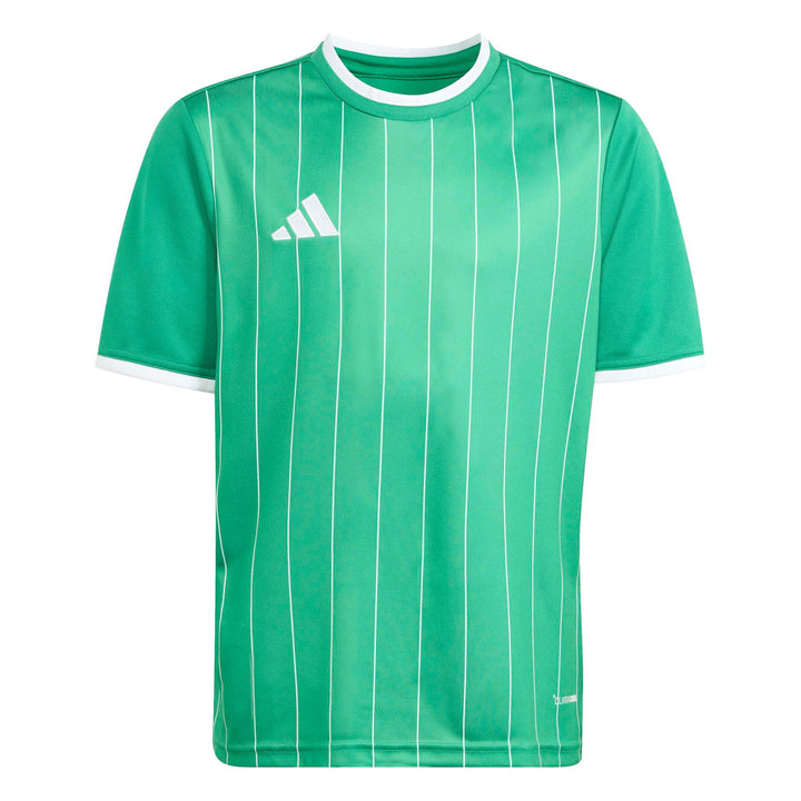 adidas Entrada 26 Gfx Jsy Y Kinder - teagrn/white