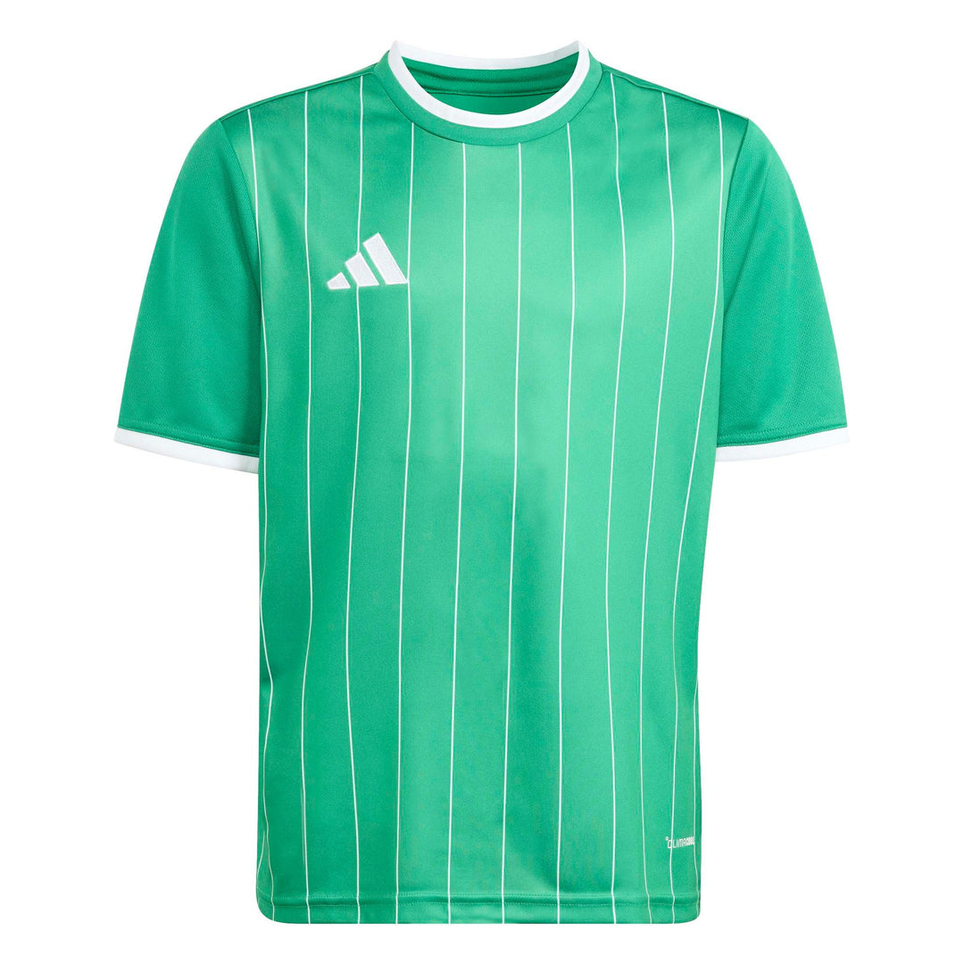 adidas Entrada 26 Gfx Jsy Y Kinder - teagrn/white