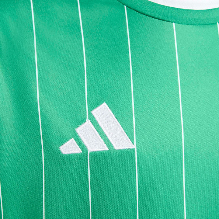 adidas Entrada 26 Gfx Jsy Y Kinder - teagrn/white