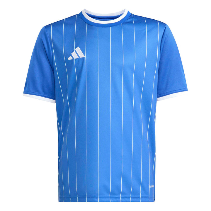 adidas Entrada 26 Gfx Jsy Y Kinder - royblu/white