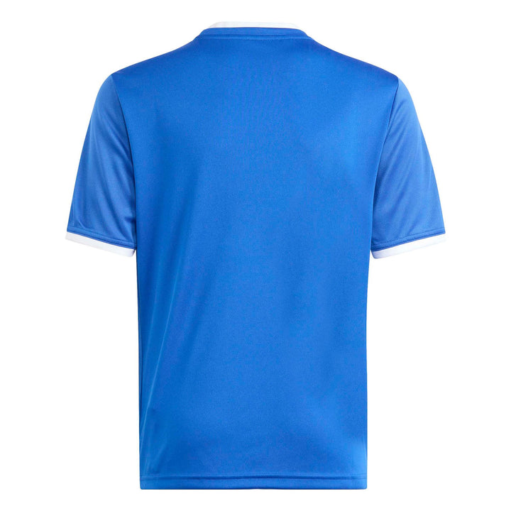 adidas Entrada 26 Gfx Jsy Y Kinder - royblu/white