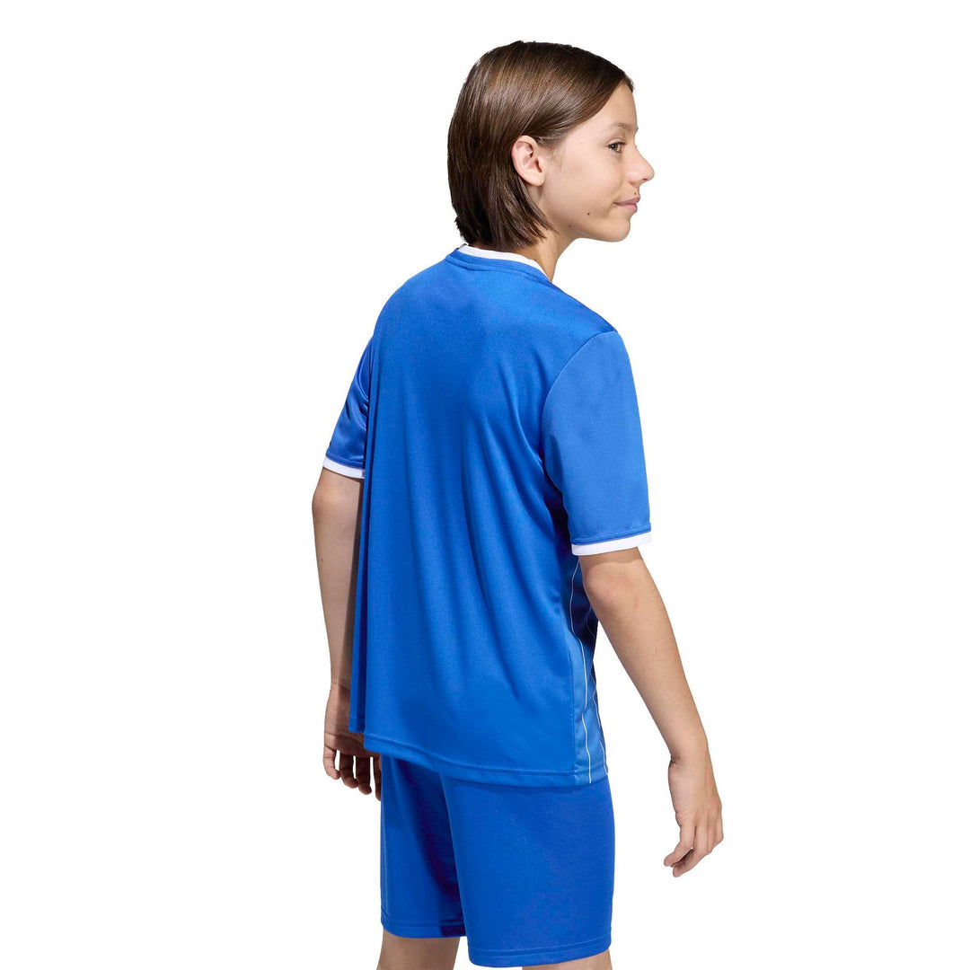adidas Entrada 26 Gfx Jsy Y Kinder - royblu/white