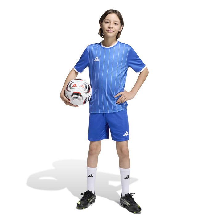 adidas Entrada 26 Gfx Jsy Y Kinder - royblu/white