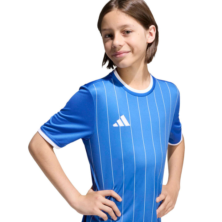 adidas Entrada 26 Gfx Jsy Y Kinder - royblu/white