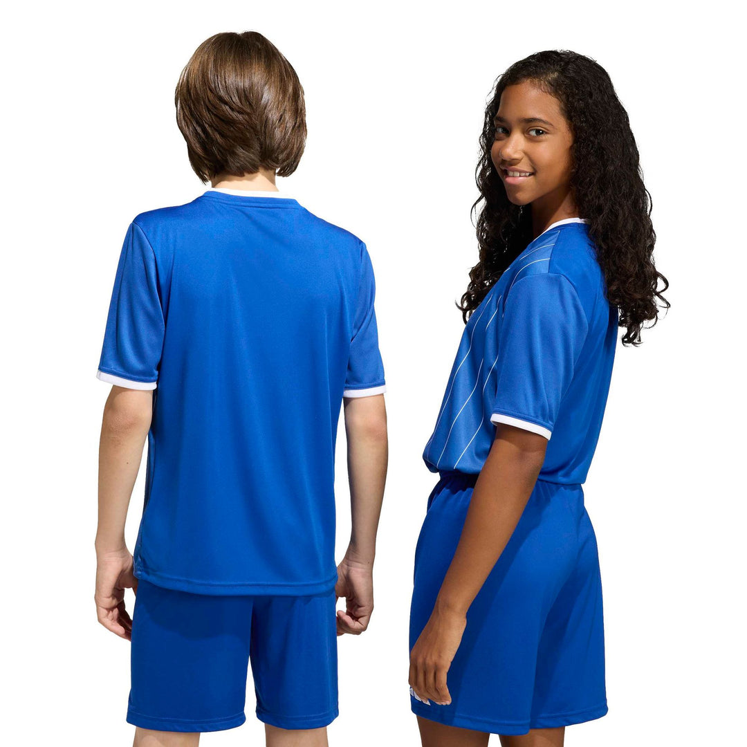 adidas Entrada 26 Gfx Jsy Y Kinder - royblu/white