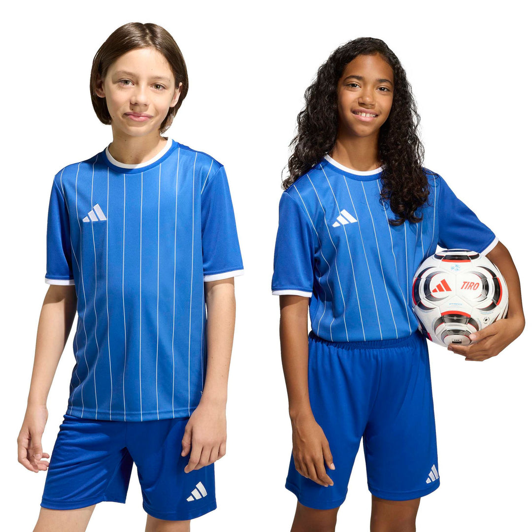 adidas Entrada 26 Gfx Jsy Y Kinder - royblu/white
