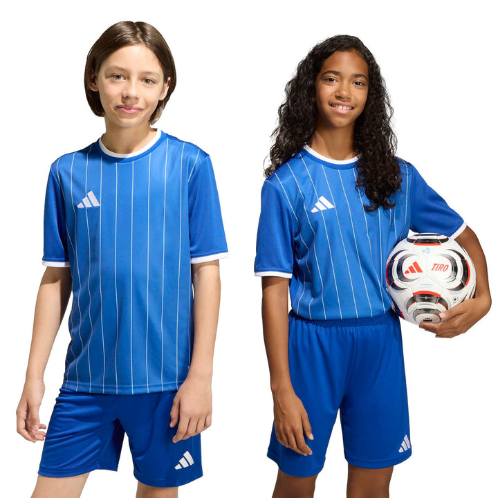 adidas Entrada 26 Gfx Jsy Y Kinder - royblu/white