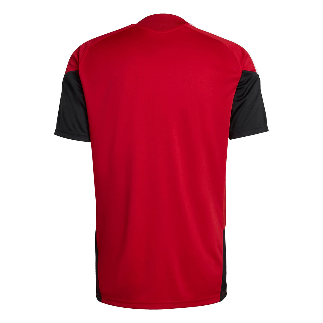 adidas Dfb Tr Jsy - tepore