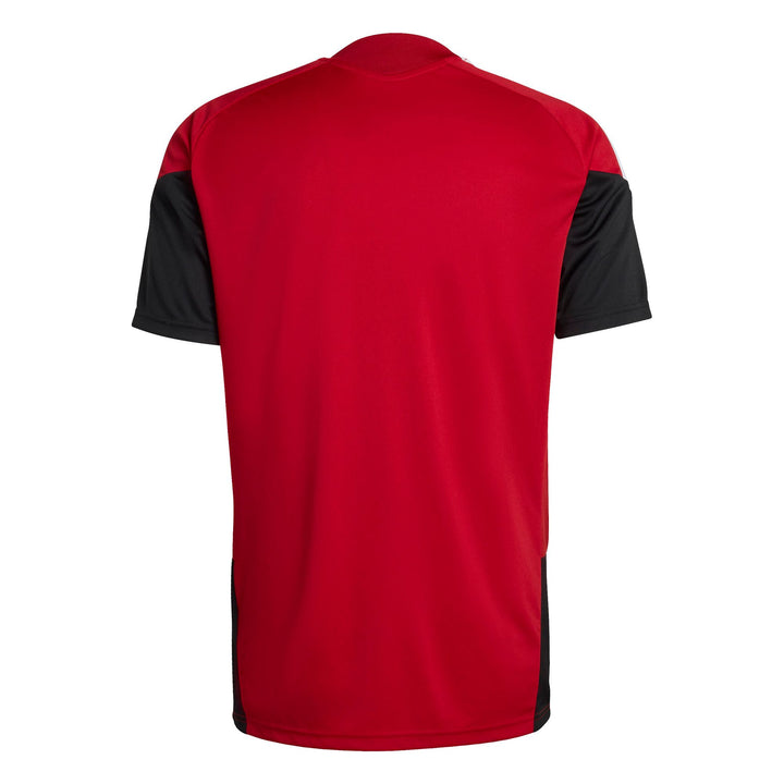 adidas Dfb Tr Jsy - tepore