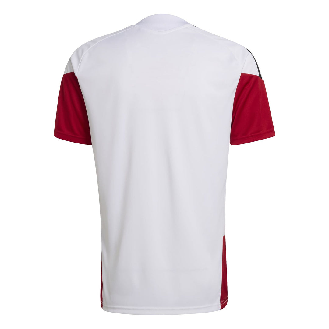 adidas Dfb Tr Jsy - white