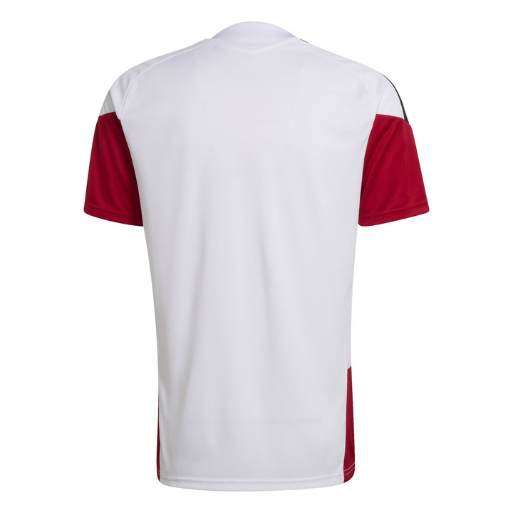 adidas Dfb Tr Jsy - white