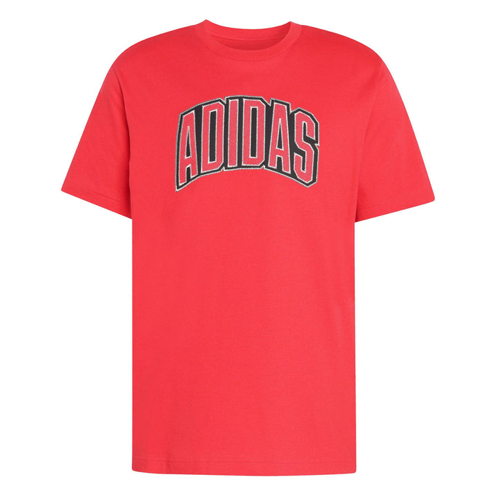 adidas M Stad Colleg T - purrub
