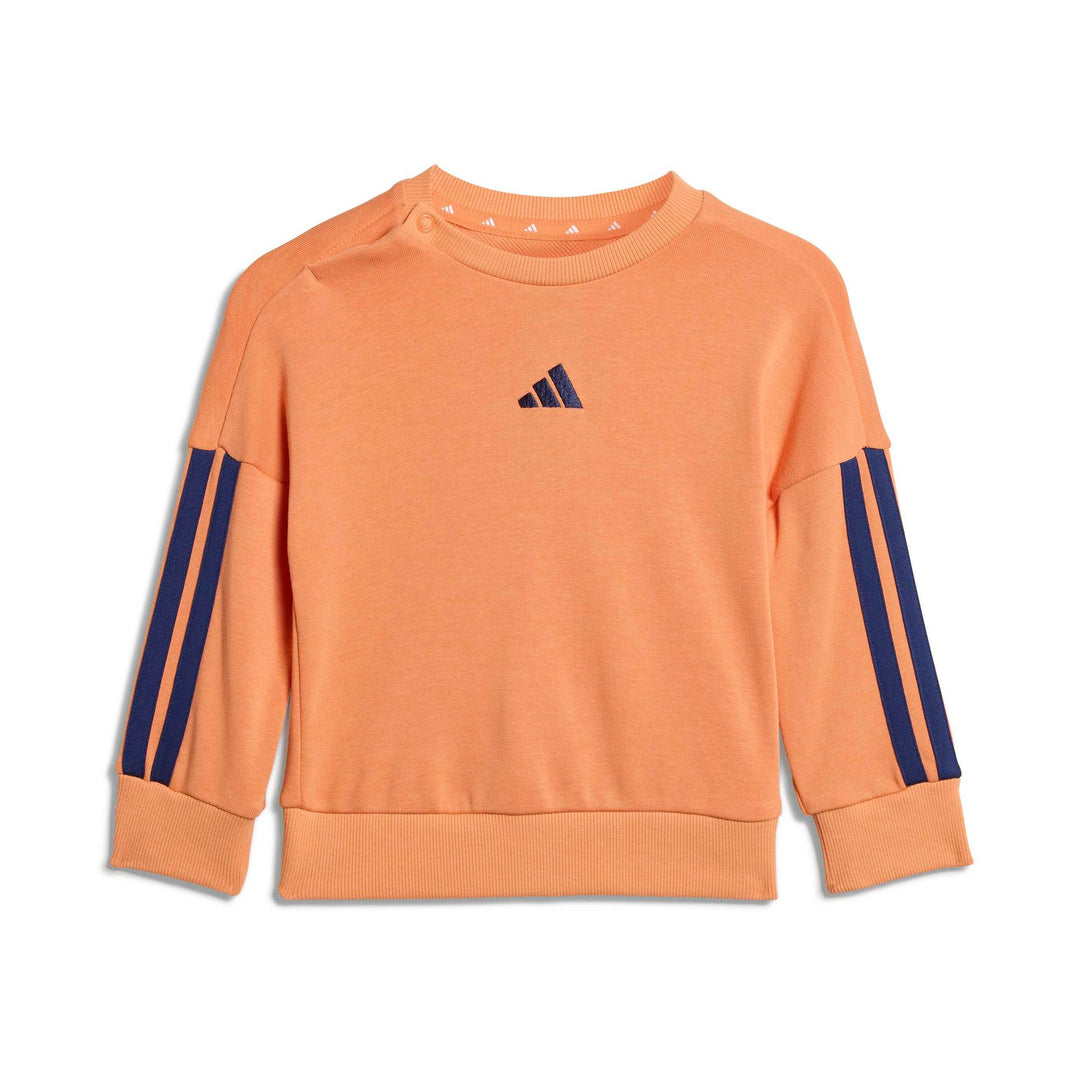 adidas I 3S Ft Jog 240 - duor/dkblue