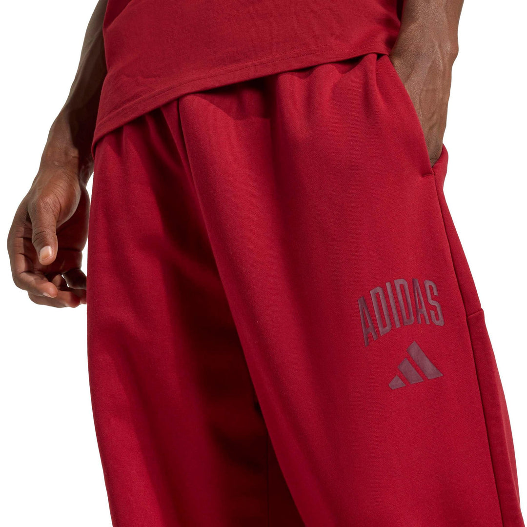 adidas M Collegiate Pt - actmar/cburgu