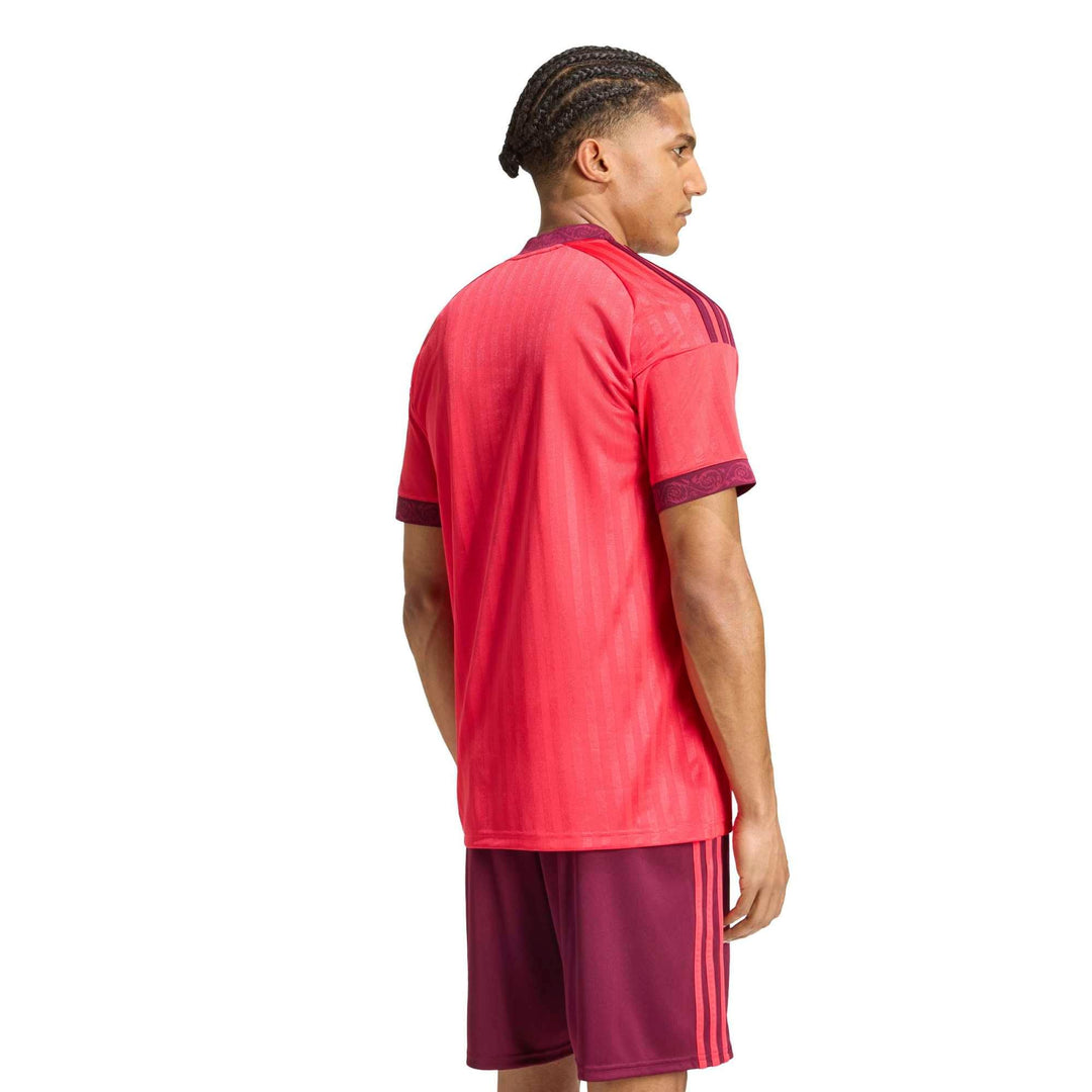 adidas Ol A Jsy - actpnk