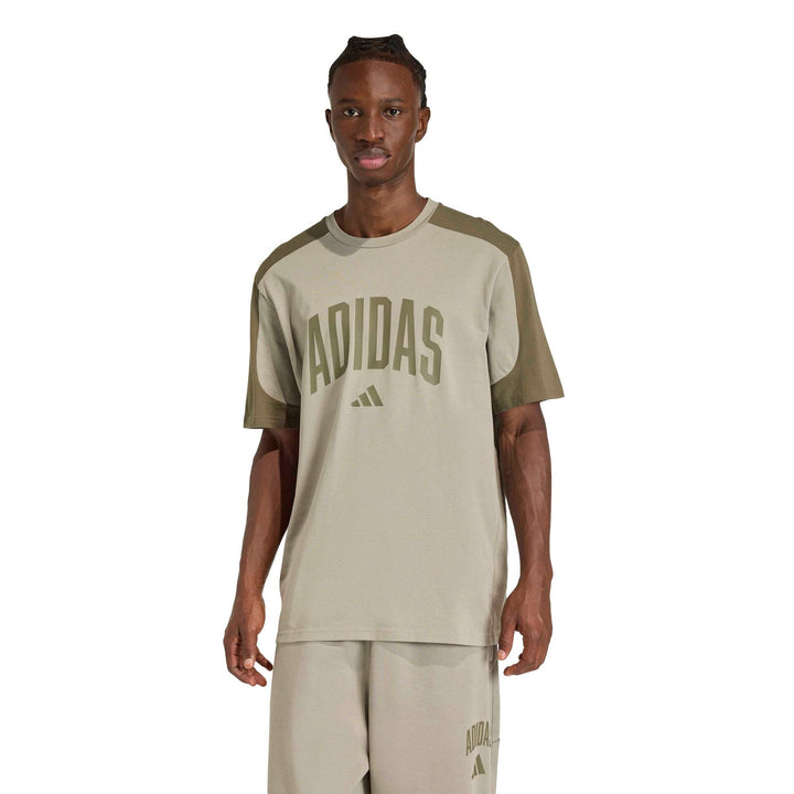 adidas M Collegiate Te - silpeb/olistr
