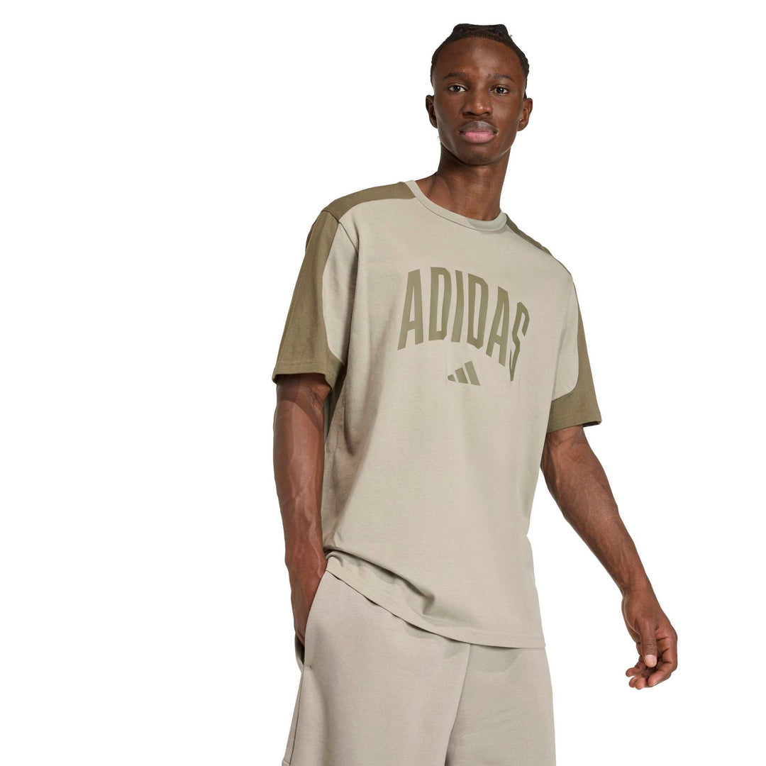 adidas M Collegiate Te - silpeb/olistr