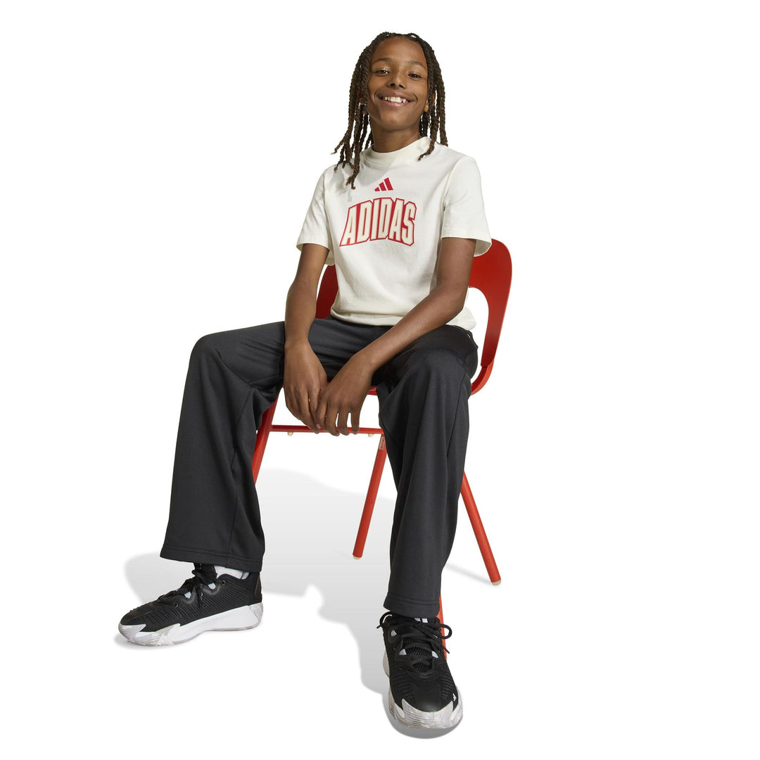 adidas J Std Gfx Tee - owhite/purrub