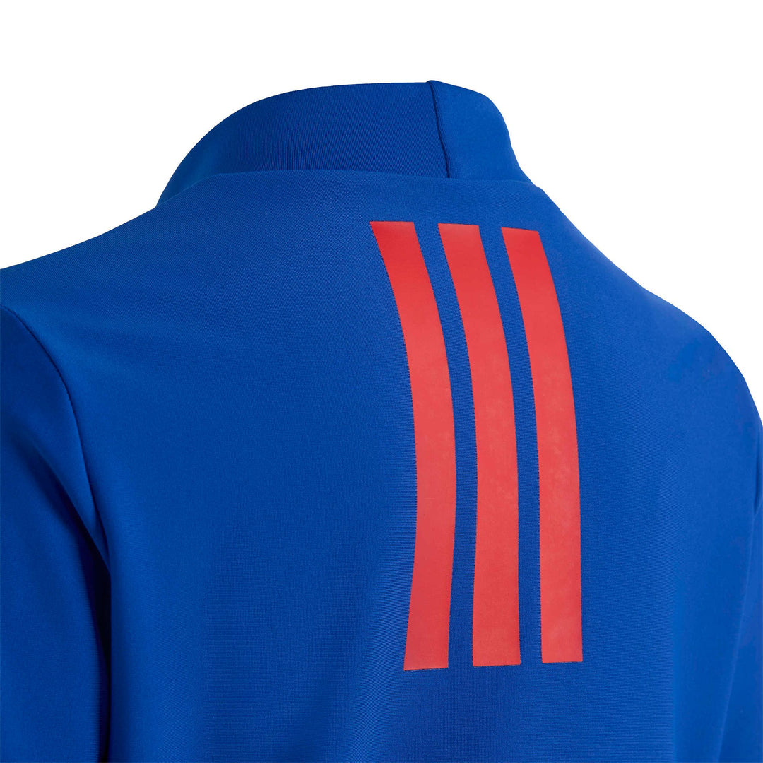 adidas Ad Mv Sm Rg - royblu