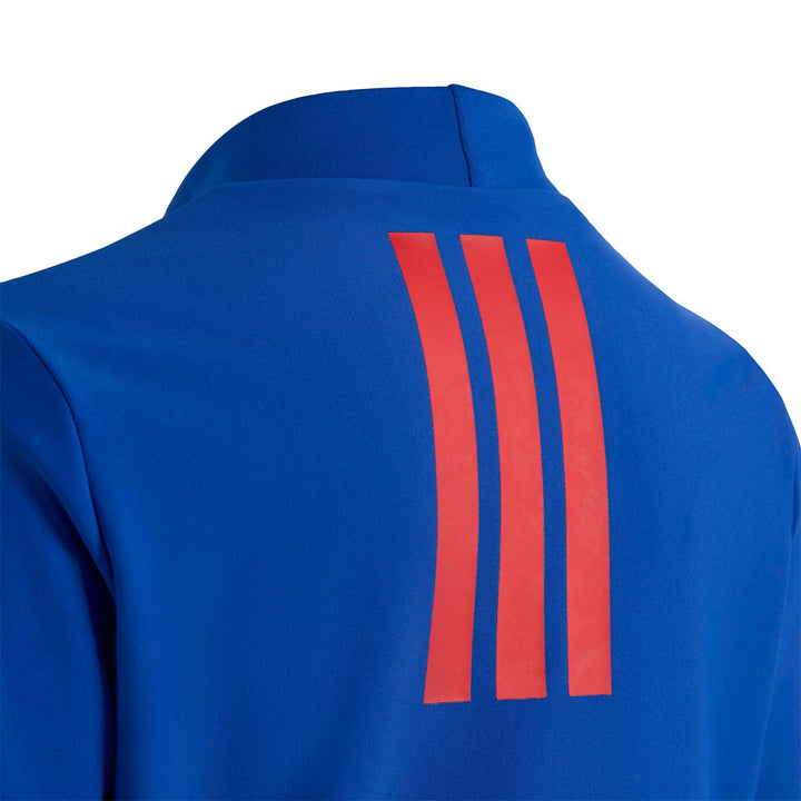 adidas Ad Mv Sm Rg - royblu
