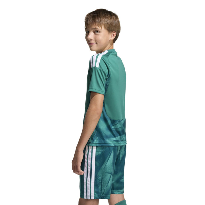adidas Dfb H Gk Jsy Y Kinder - actgrn