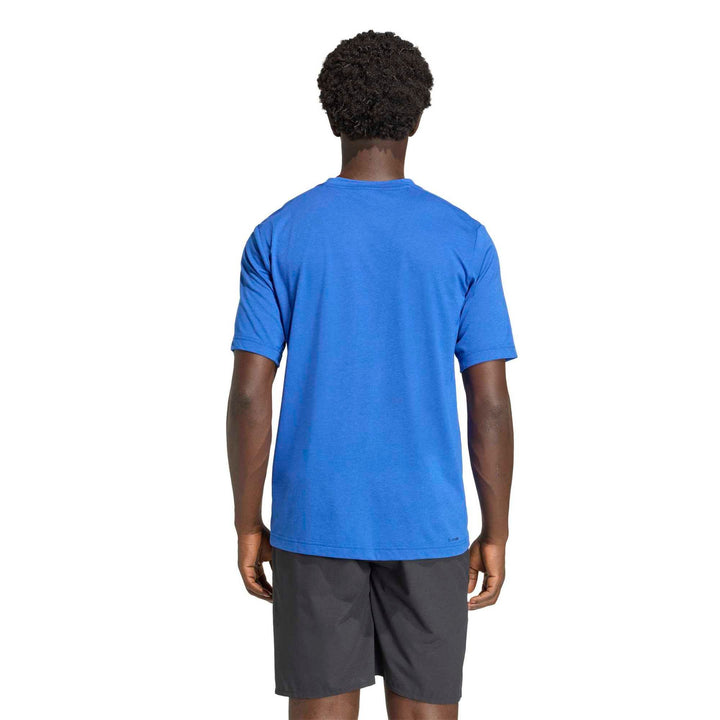 adidas We Fr T - royblu