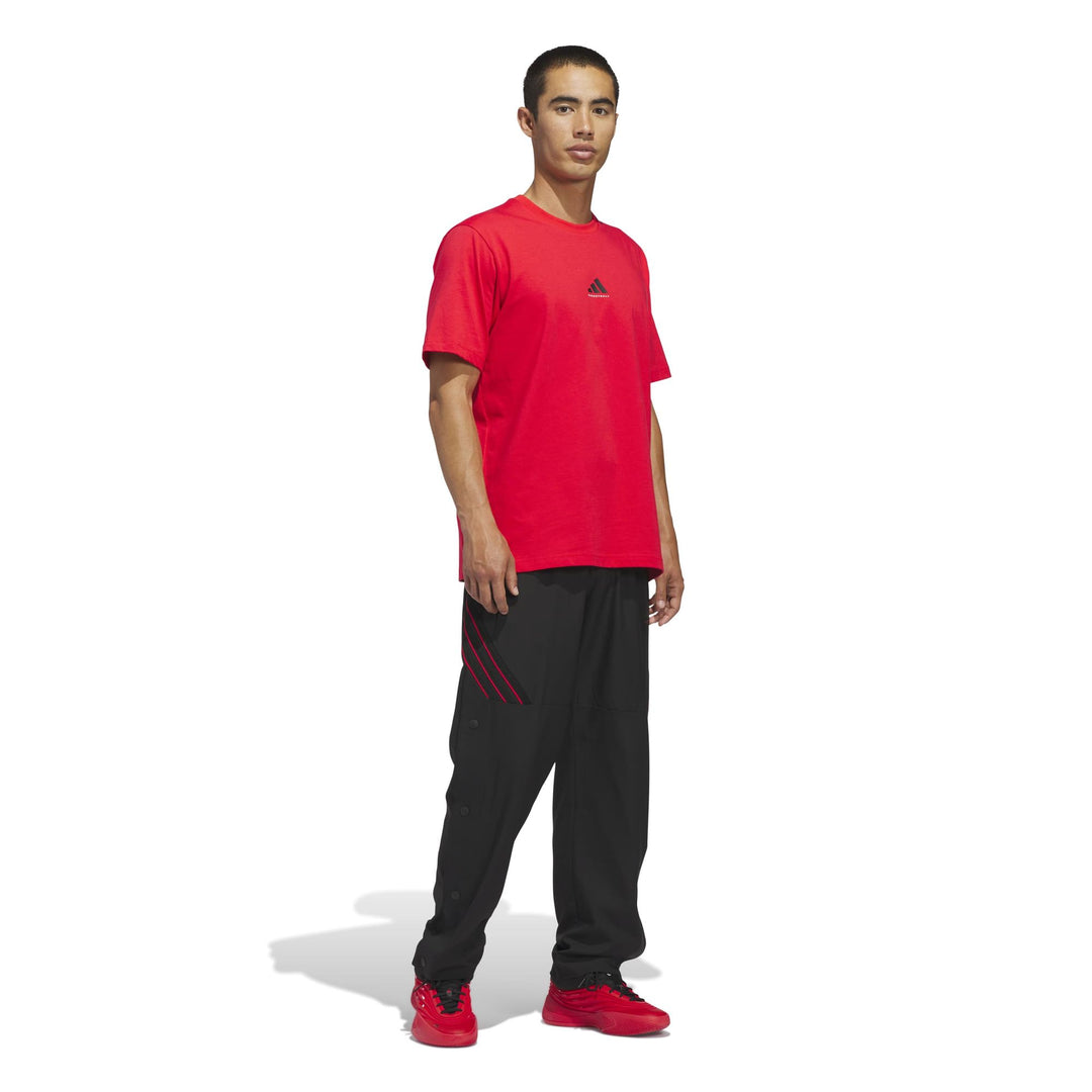 adidas Crazylite Pant - black/purrub