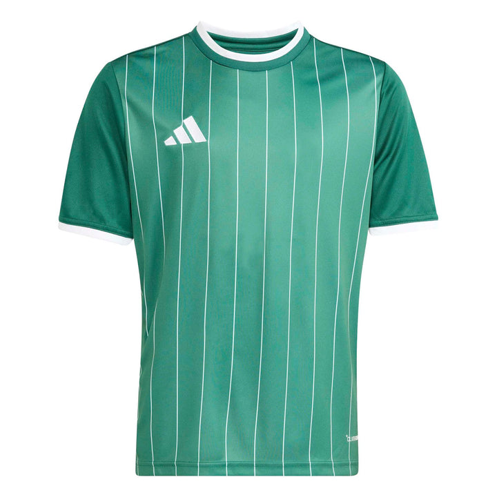 adidas Entrada 26 Gfx Jsy Y Kinder - drkgrn/white