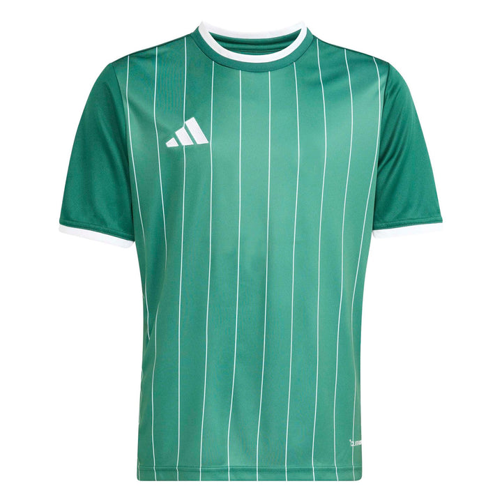 adidas Entrada 26 Gfx Jsy Y Kinder - drkgrn/white