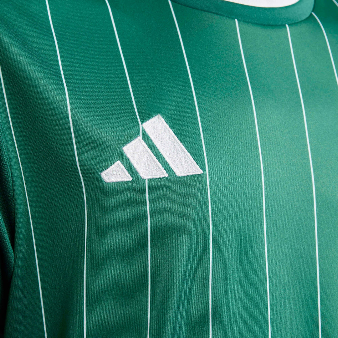 adidas Entrada 26 Gfx Jsy Y Kinder - drkgrn/white