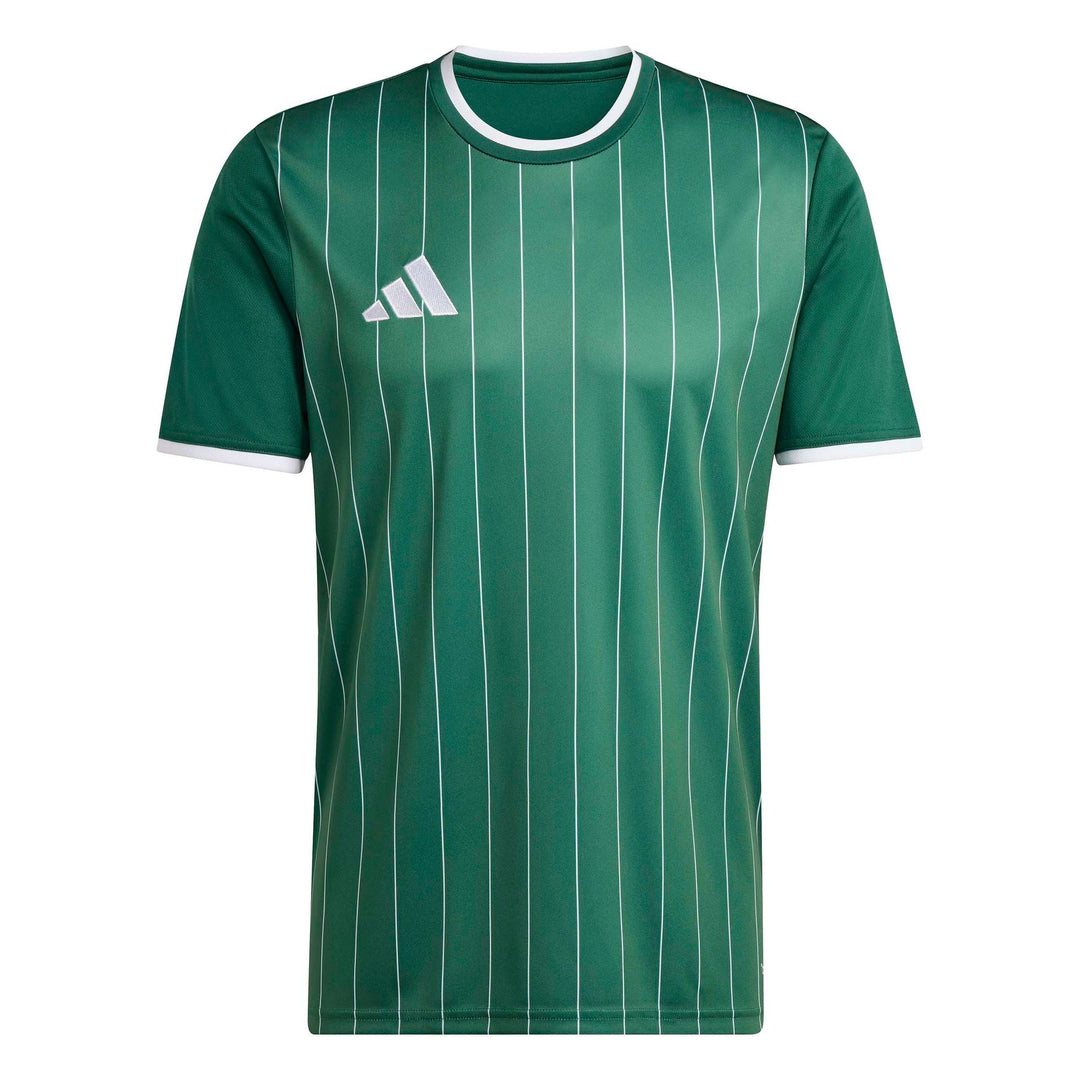adidas Entrada 26 Gfx Jsy - drkgrn/white