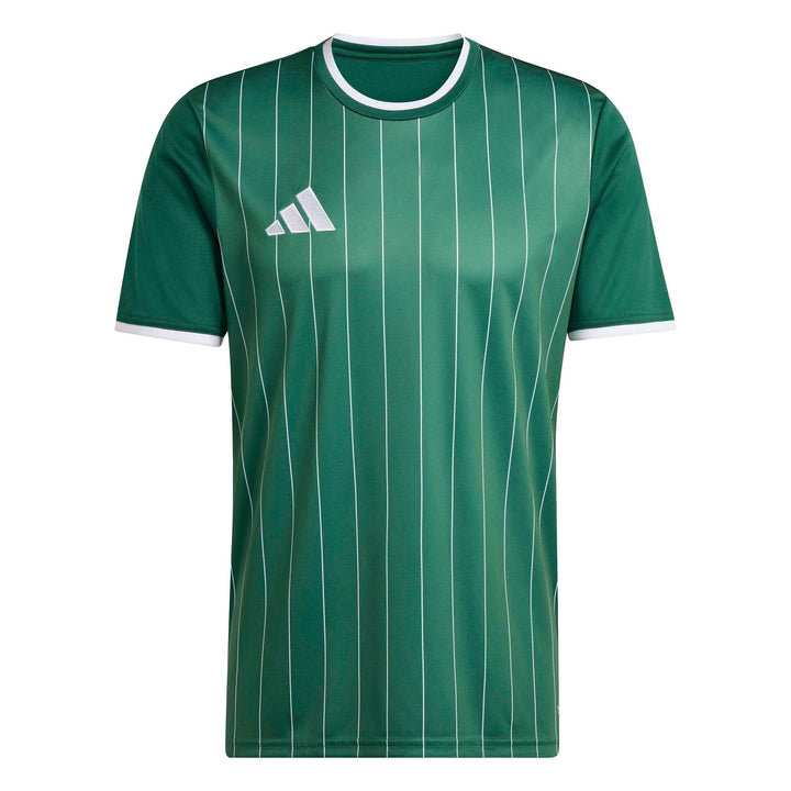 adidas Entrada 26 Gfx Jsy - drkgrn/white