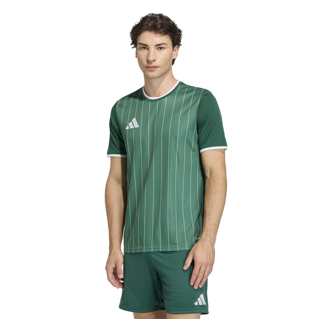 adidas Entrada 26 Gfx Jsy - drkgrn/white