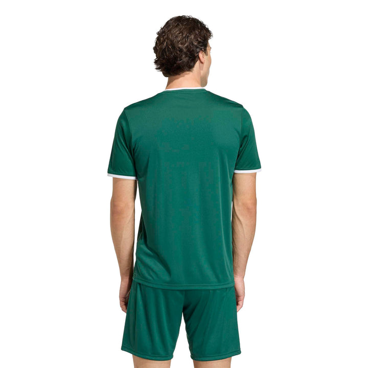 adidas Entrada 26 Gfx Jsy - drkgrn/white