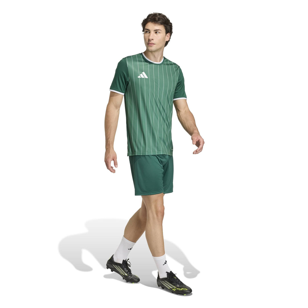 adidas Entrada 26 Gfx Jsy - drkgrn/white