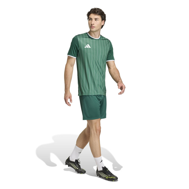 adidas Entrada 26 Gfx Jsy - drkgrn/white