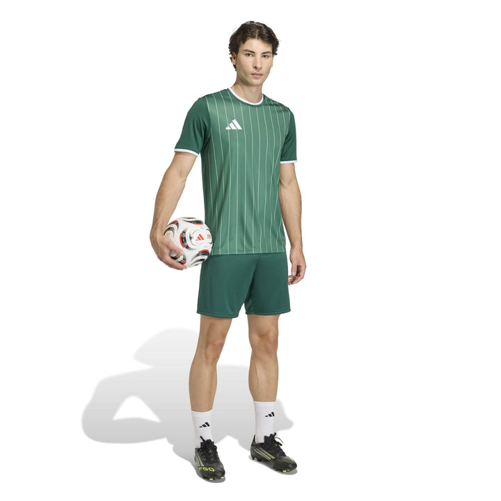 adidas Entrada 26 Gfx Jsy - drkgrn/white