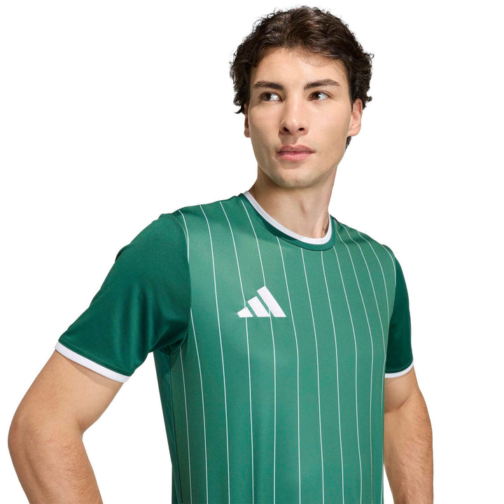 adidas Entrada 26 Gfx Jsy - drkgrn/white
