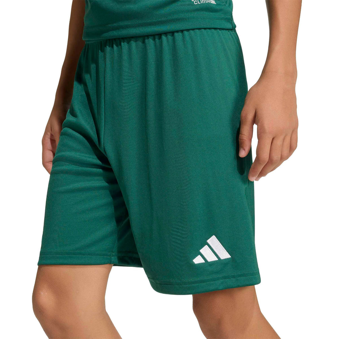 adidas Entrada 26 Sho Y Kinder - drkgrn/white