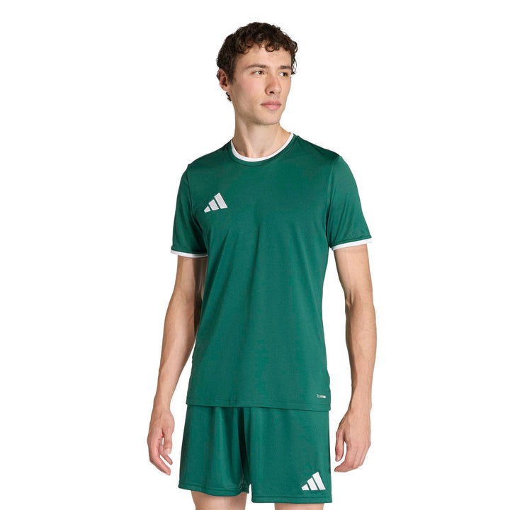 adidas Entrada 26 Jsy - drkgrn/white