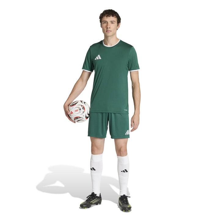 adidas Entrada 26 Jsy - drkgrn/white