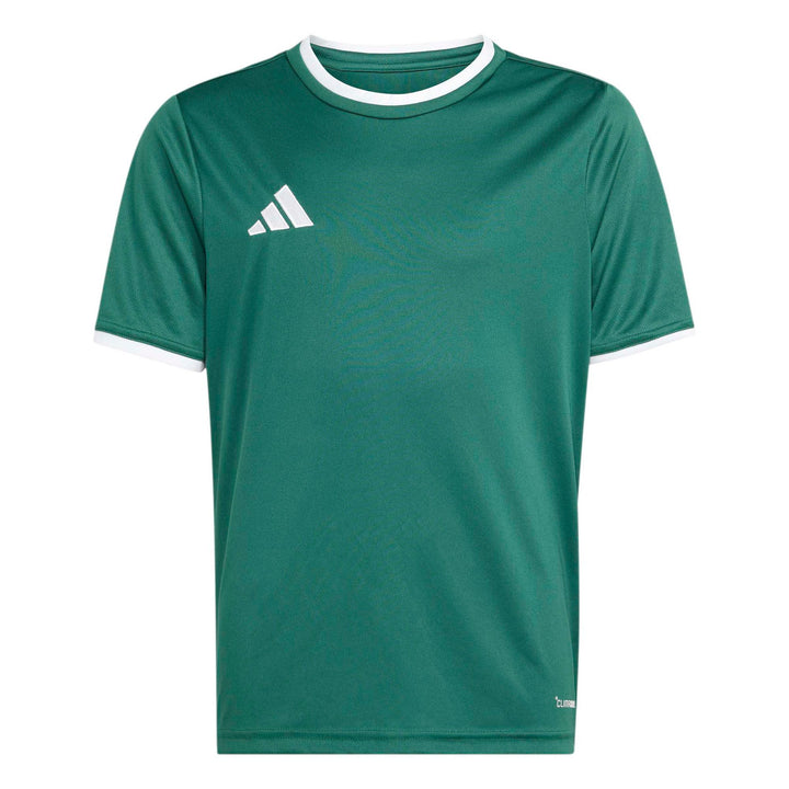 adidas Entrada 26 Jsy Y Kinder - drkgrn/white